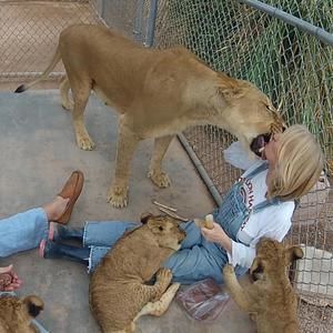 Meet your Posher, Beverly